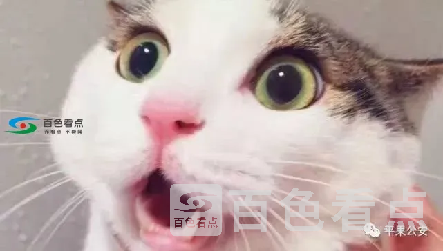 0.webp.webp