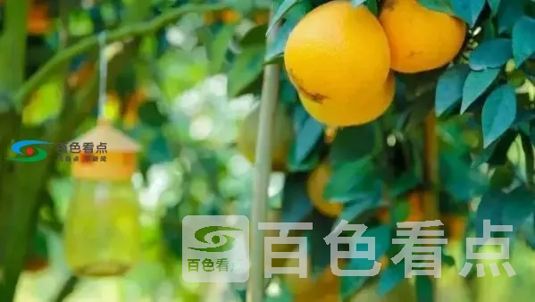 640.webp (10).webp