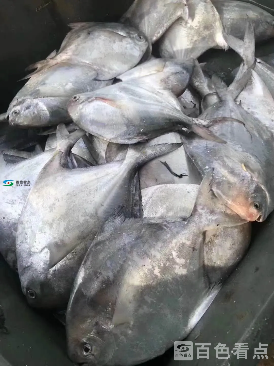 微信图片_20190825200146.webp