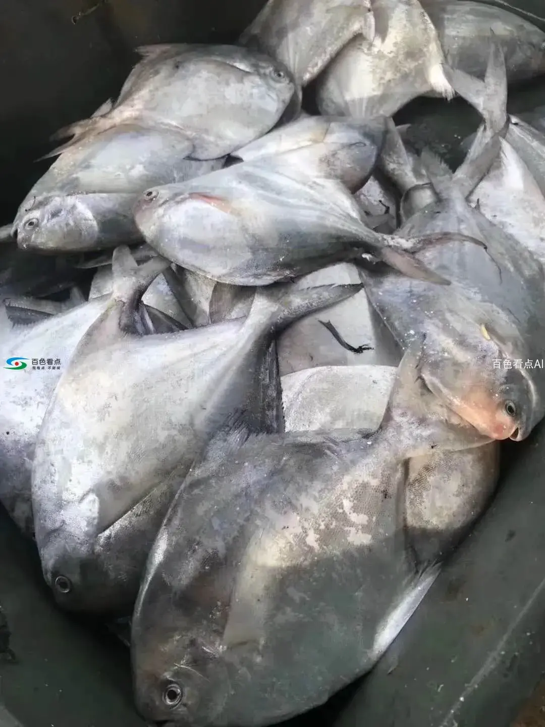 微信图片_20190825200146.webp