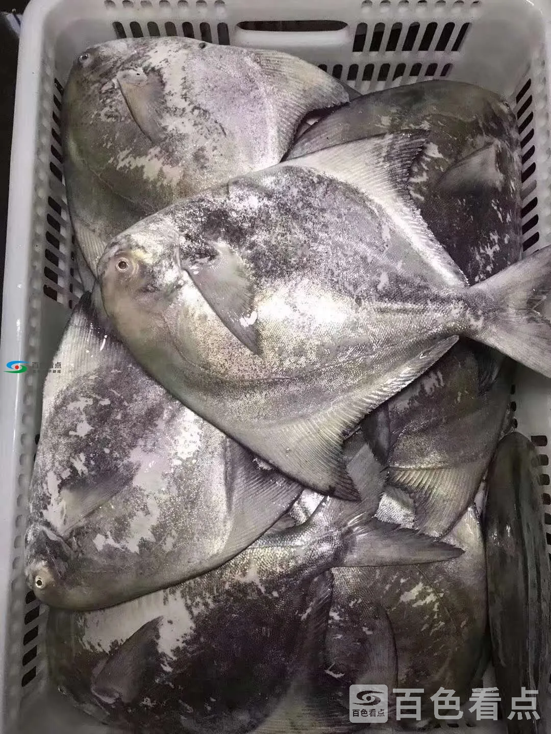 微信图片_20190825200143.webp