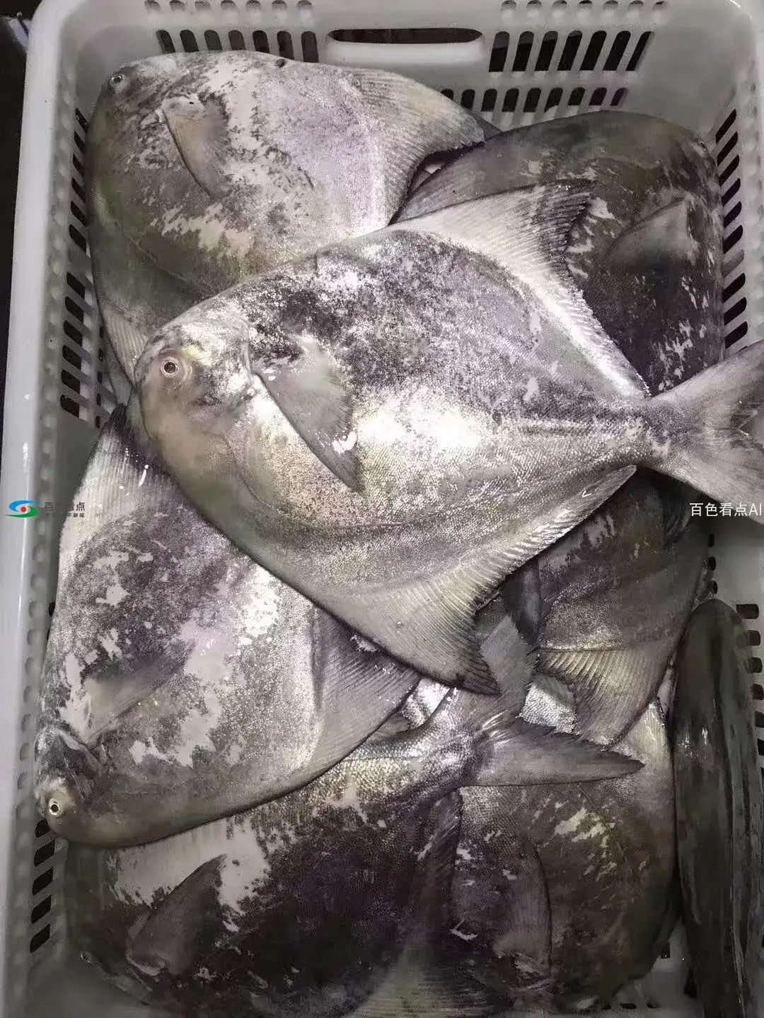 微信图片_20190825200143.webp
