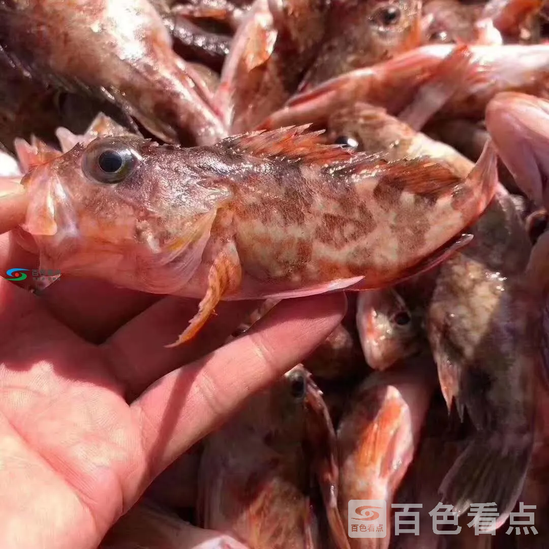 微信图片_20190825200139.webp