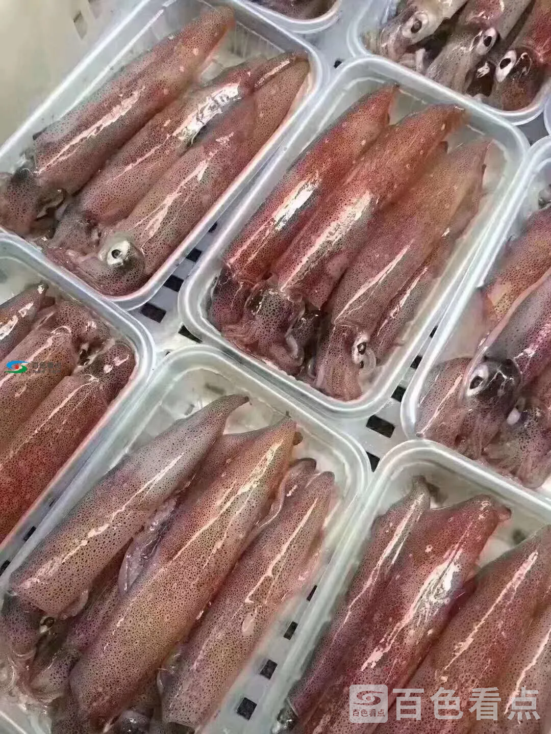 微信图片_20190825200151.webp