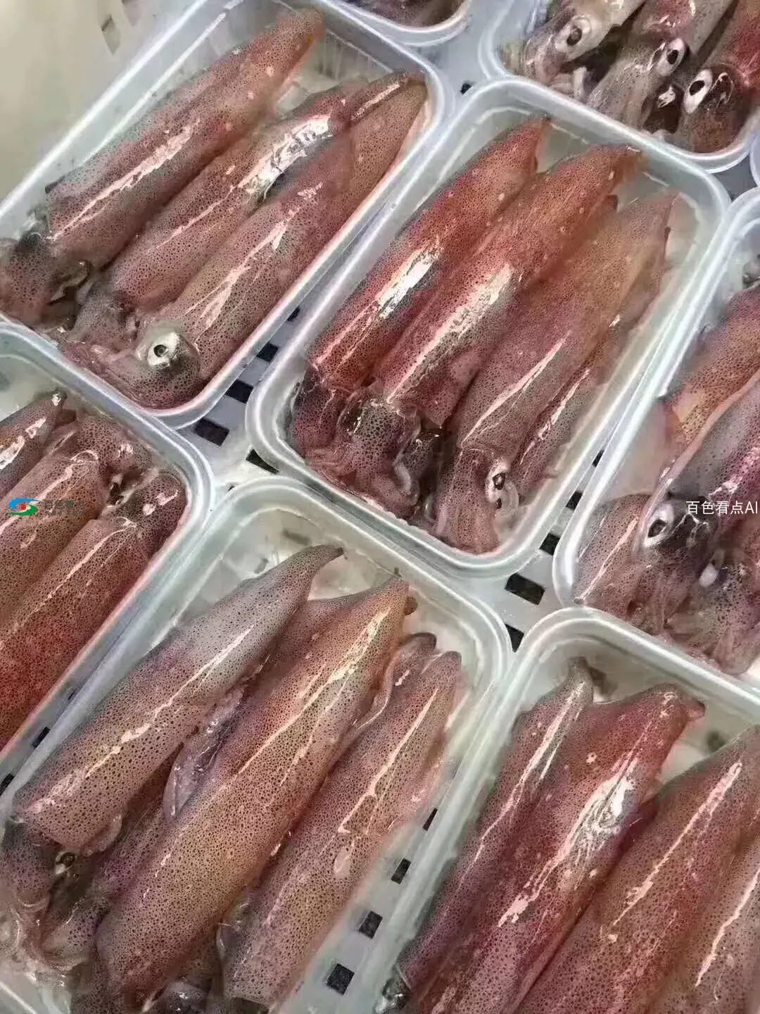 微信图片_20190825200151.webp