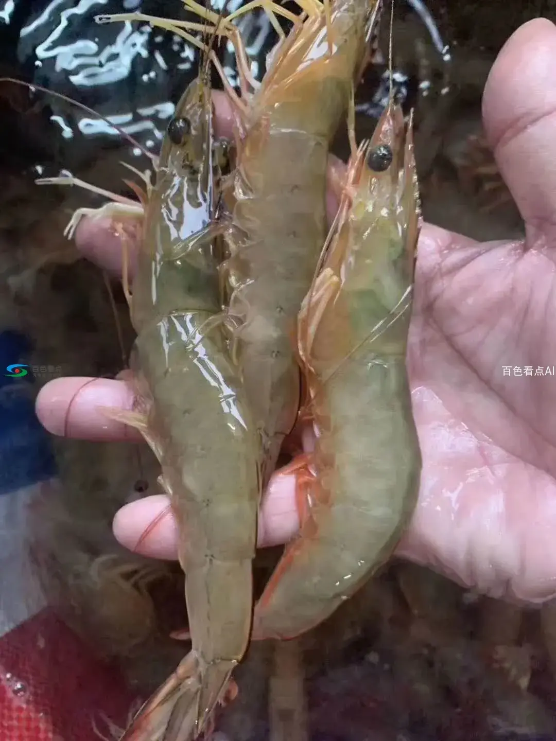 微信图片_20190825200136.webp
