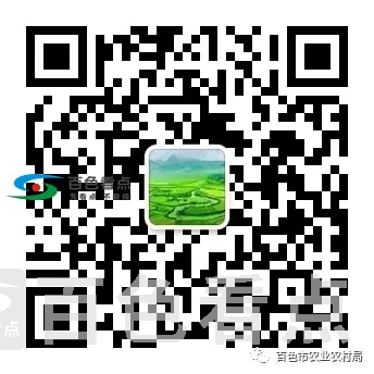 640.webp (12).webp