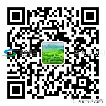 640.webp (12).webp