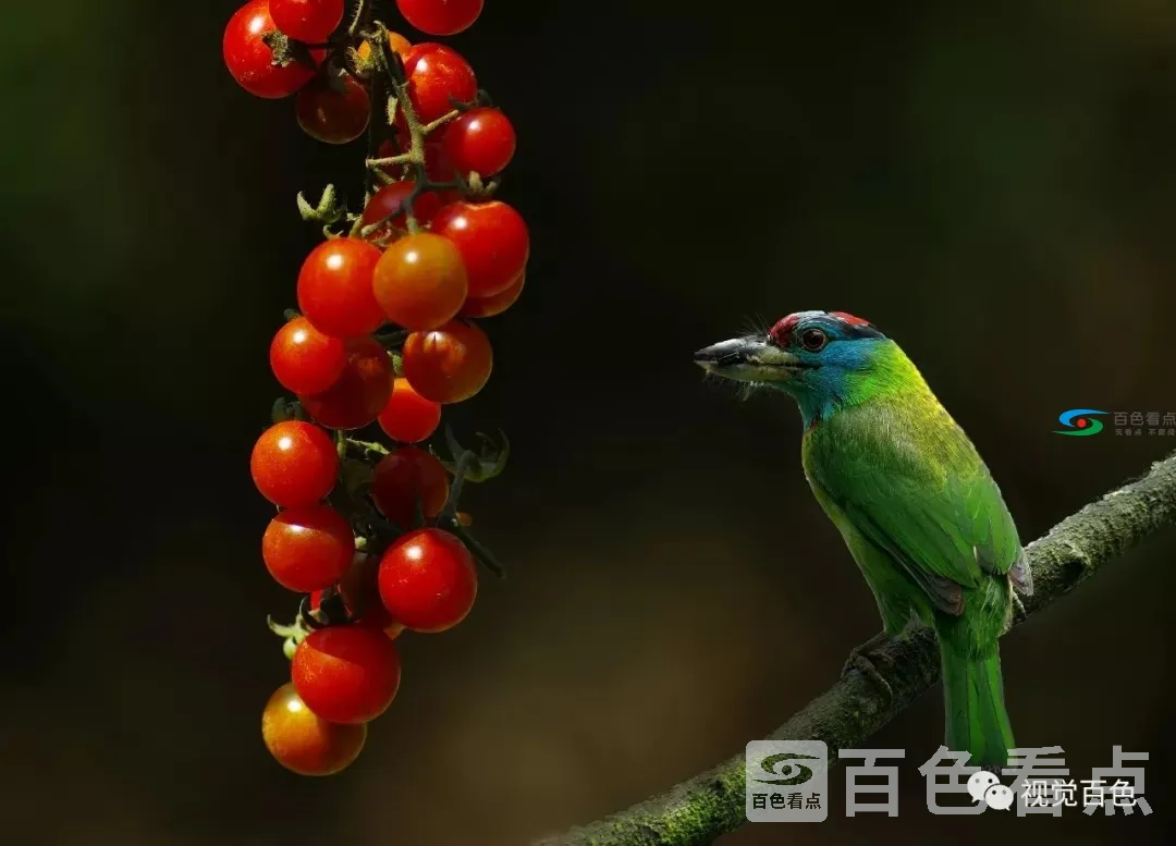 640.webp (33).webp