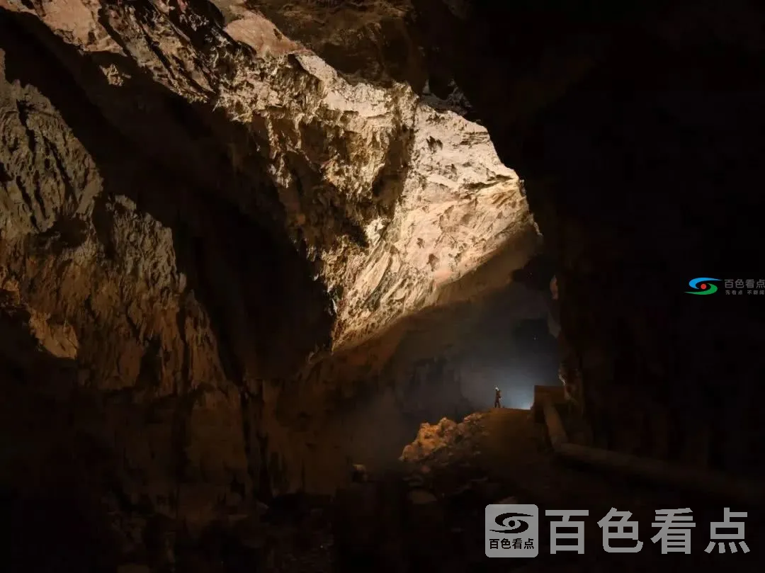 image (6).webp