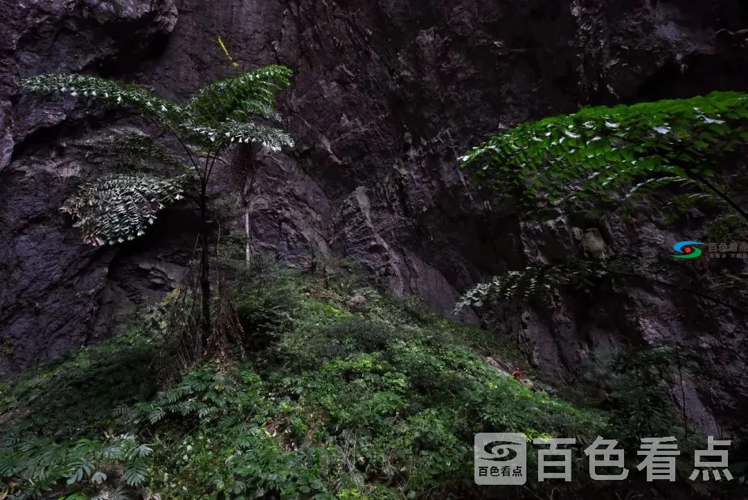 image (10).webp