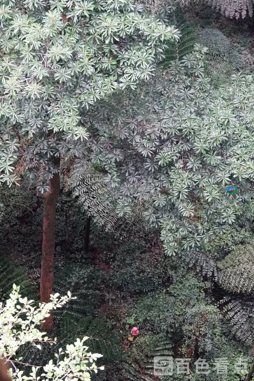 image (8).webp