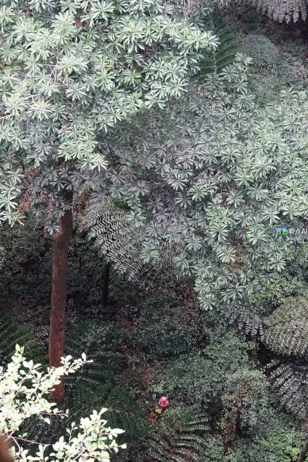 image (8).webp