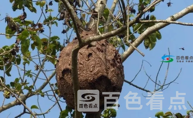 QQ截图20191118141316.webp