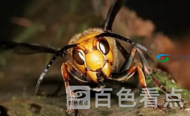 QQ截图20191118141247.webp
