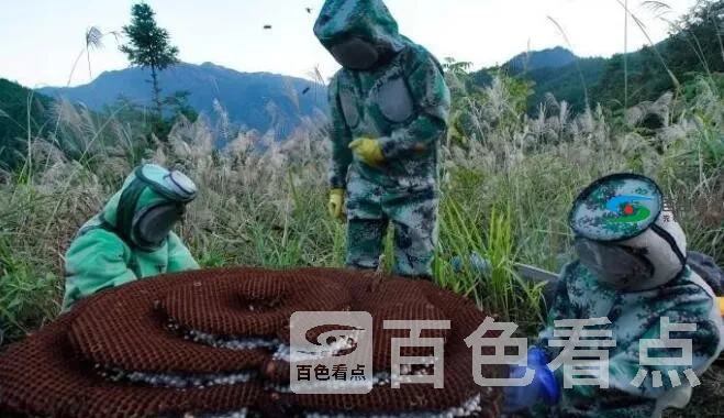 QQ截图20191118141309.webp