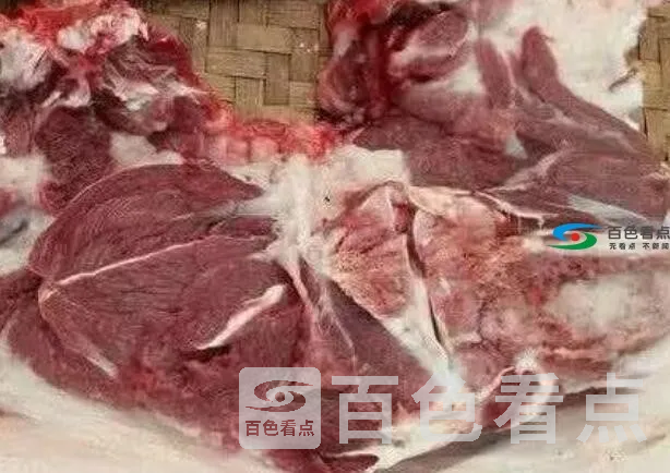QQ截图20191121045236.webp