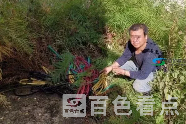 QQ截图20191122071125.webp