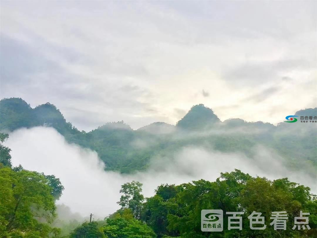 微信图片_20191122145357.jpg