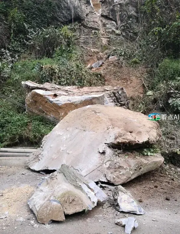 QQ截图20191125131959.webp