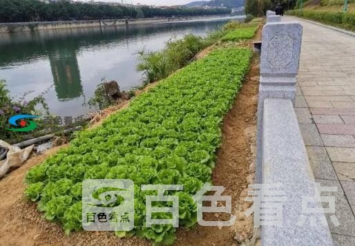 QQ截图20191225104229.jpg