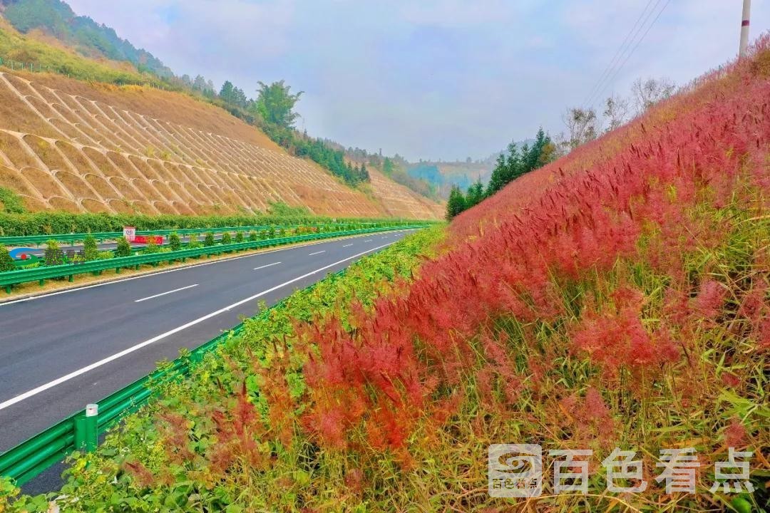 微信图片_20200113165356.jpg