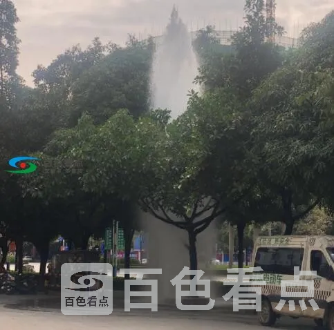 QQ截图20200217135511.webp