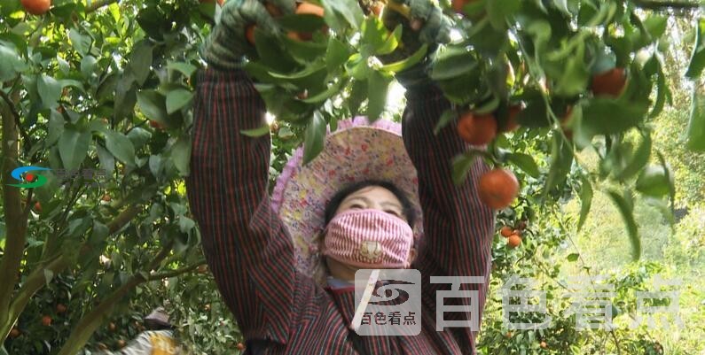 QQ截图20200218135309.jpg