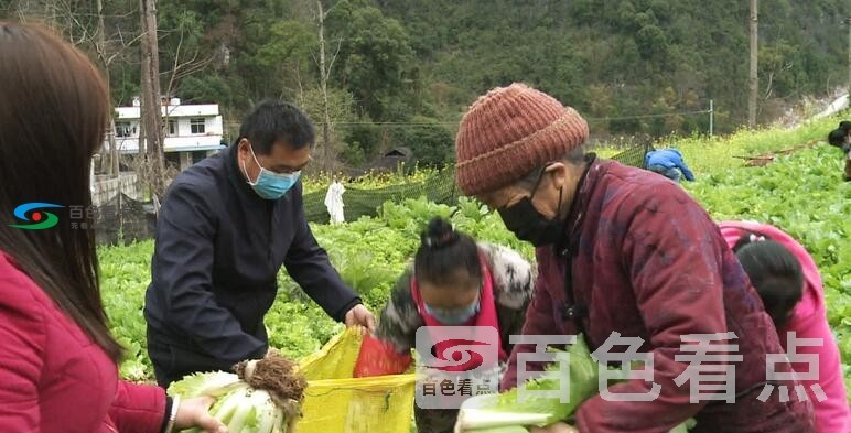 QQ截图20200218135344.jpg