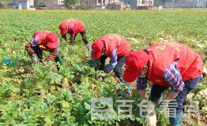 QQ截图20200218135358.jpg
