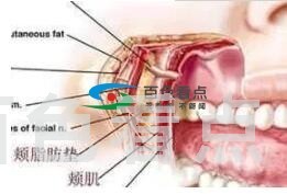 QQ截图20200304202035.jpg