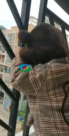 QQ截图20200304204506.webp