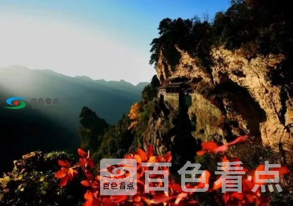 600.webp