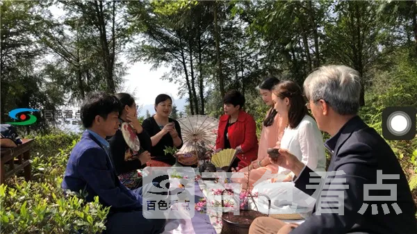 图片19.webp