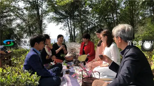 图片19.webp