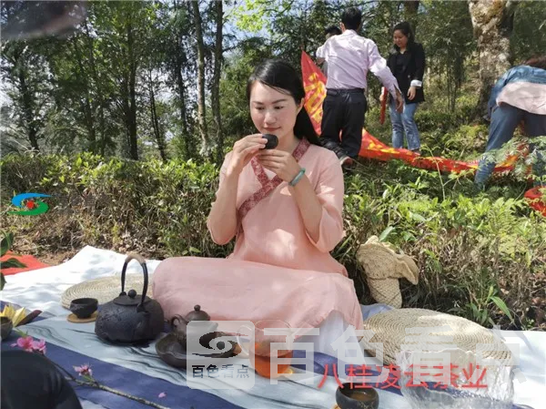 图片25.webp