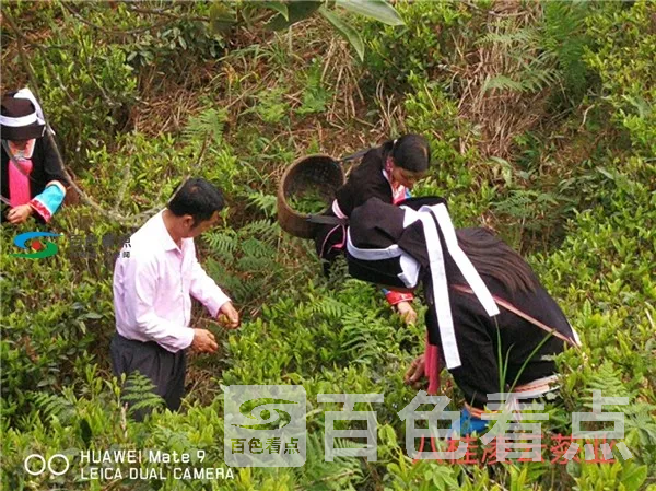 图片24.webp