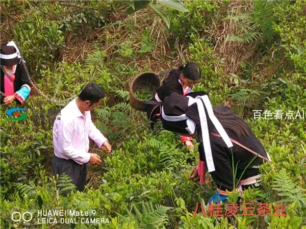 图片24.webp