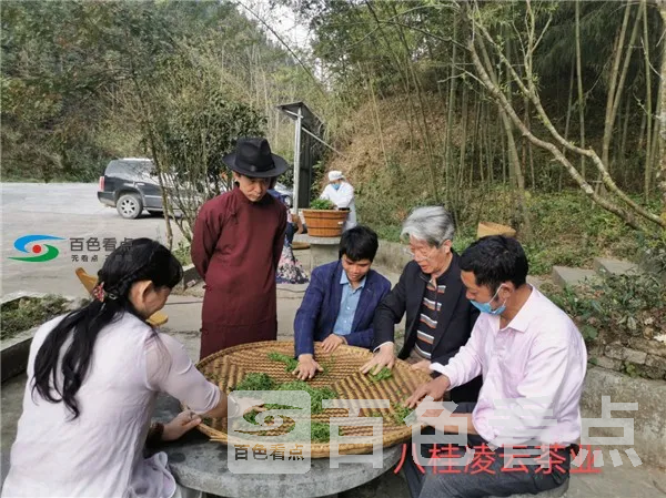 图片29.webp