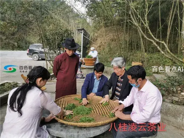 图片29.webp