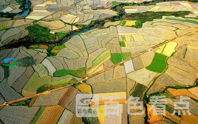 efecde54d4b944b3b1a5f5ce8953871a.webp