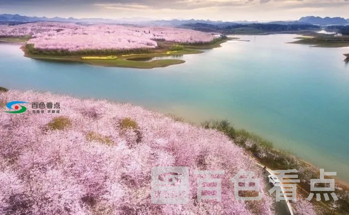 img (2).webp