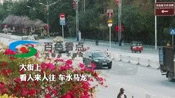 a_425192938016862208.webp
