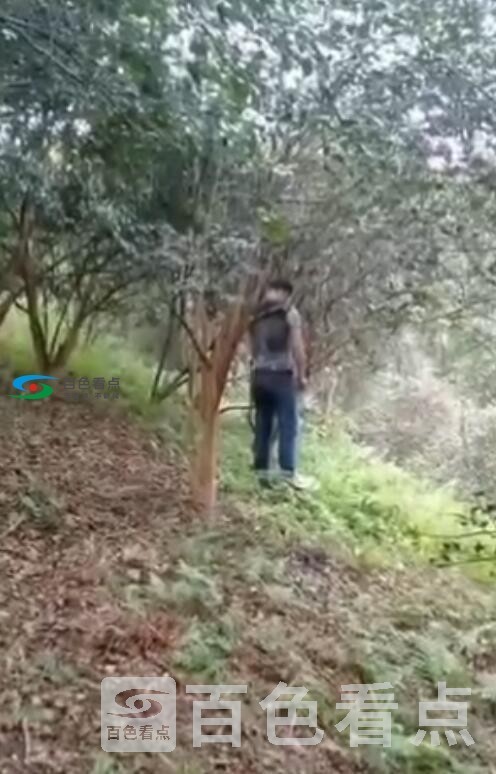QQ截图20200328125018.jpg