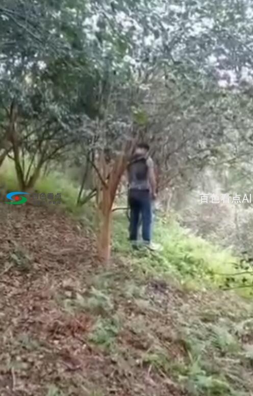 QQ截图20200328125018.jpg