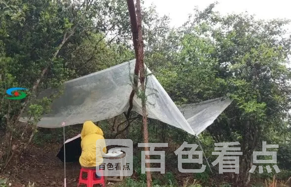 QQ截图20200330005154.webp