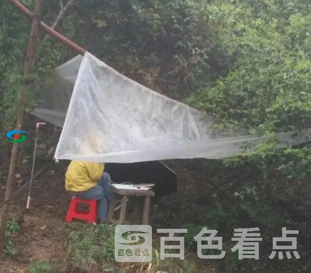QQ截图20200330005204.webp