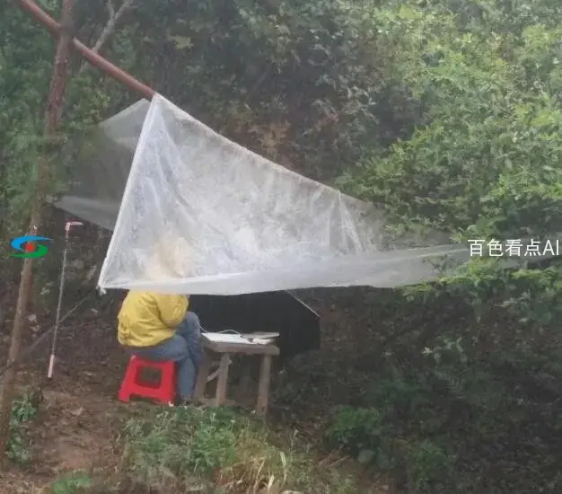 QQ截图20200330005204.webp