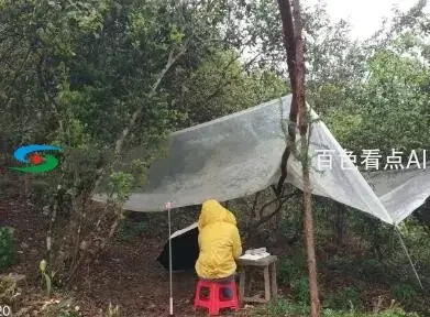 QQ截图20200330005225.webp
