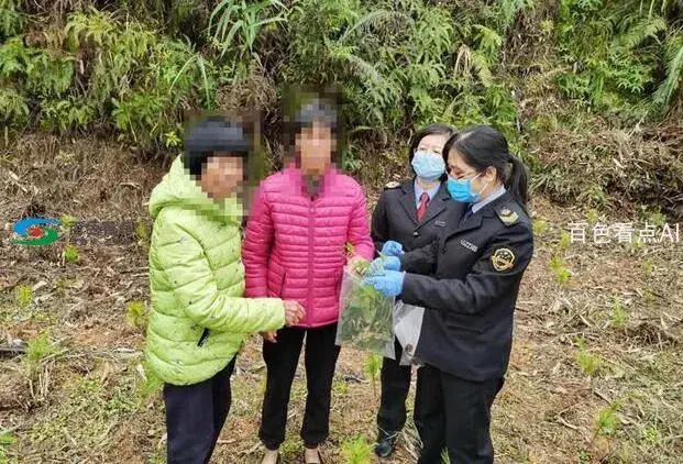 QQ截图20200403202516.webp